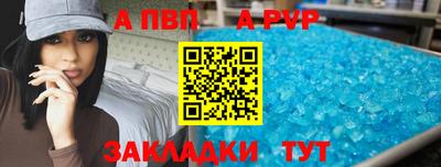 спиды Кингисепп