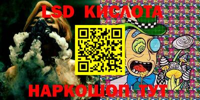 спиды Кингисепп