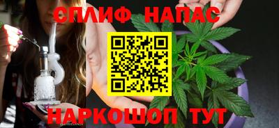 спиды Кингисепп