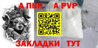 спиды Кингисепп
