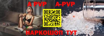 спиды Кингисепп