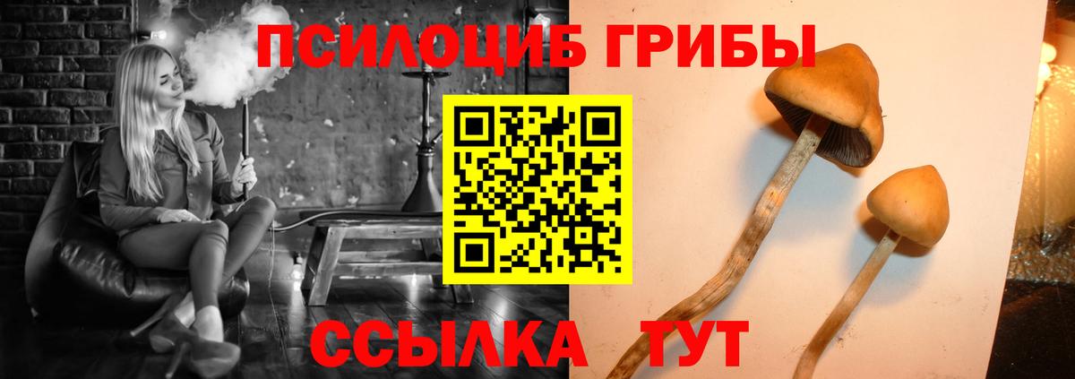 Псилоцибиновые грибы мухоморы  Вход с VPN  Пермь 